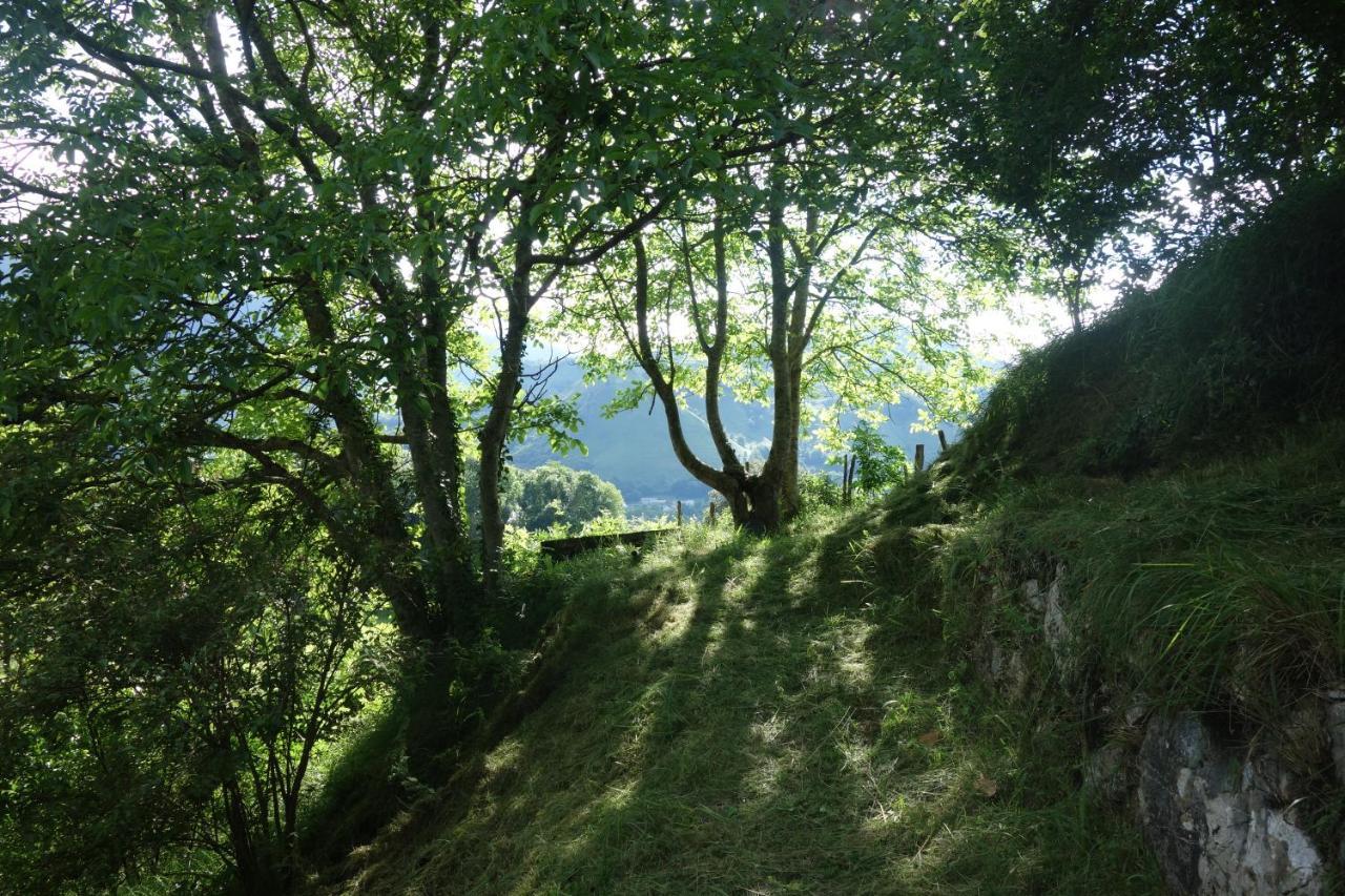 Gite Montagne Et Vie Bedous Exteriér fotografie